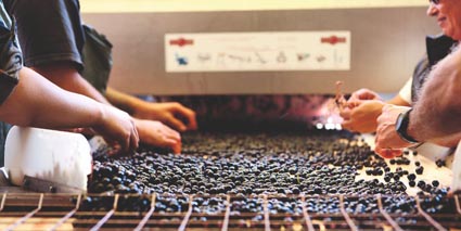 Chateau Deyrem Valentin Sortiertisch